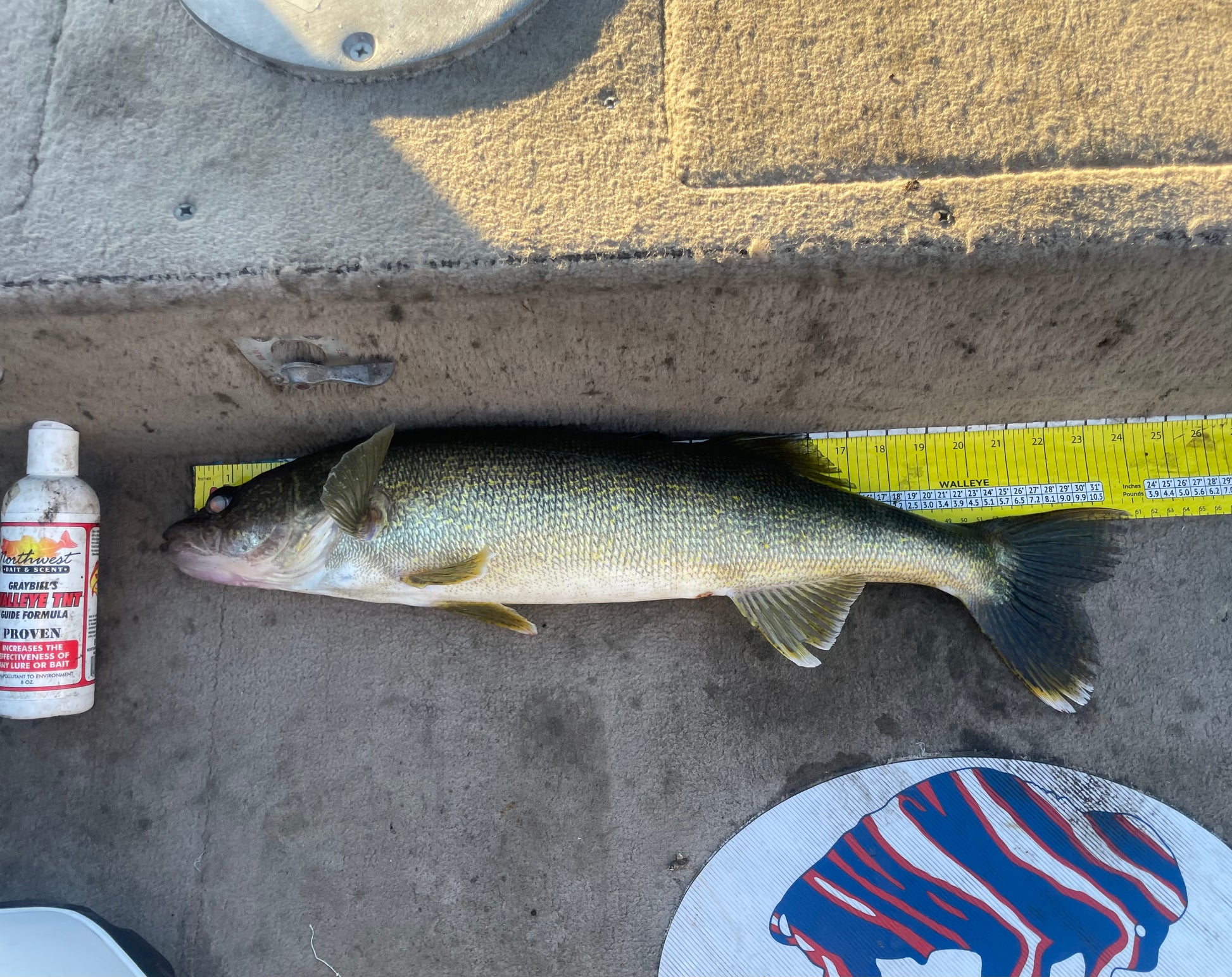 KILLA CRAW 1oz – Buffalo Rigs Custom Tackle