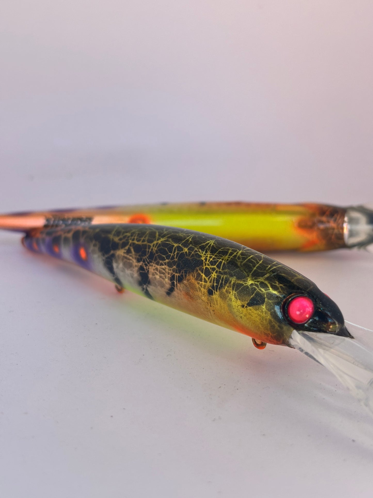 Goldie moldy Perch (Bandit deep 25ft)